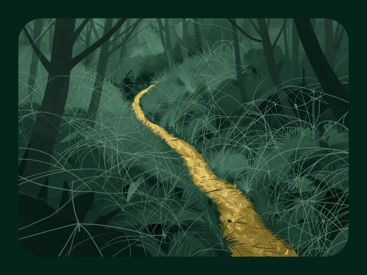 Illustration of a golden trail winding through a dense forest — the new site's lead hero visual